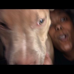 Meet your Posher, Dashaun